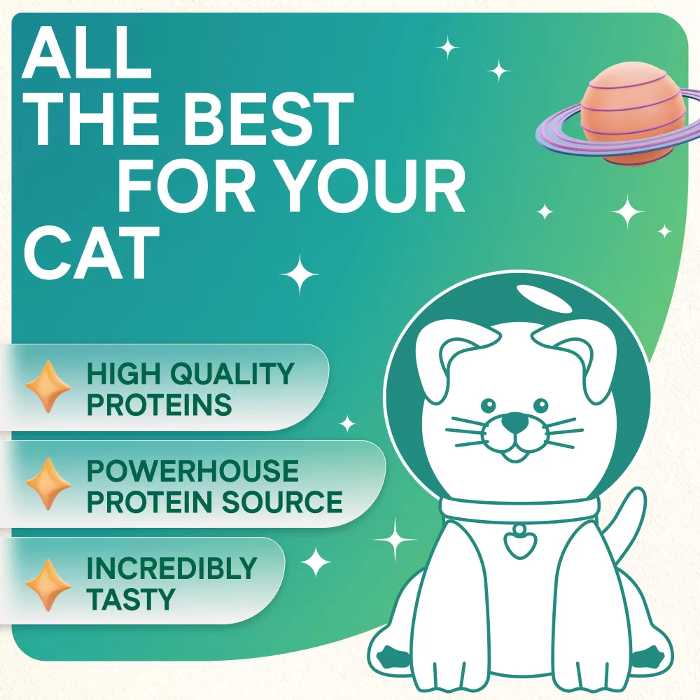 Cat Treats With Salmon Cream, 168g, E-Protein, Hypoallergenic