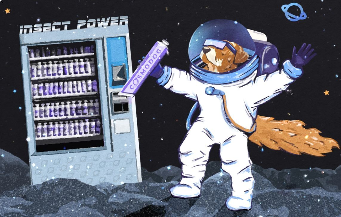 Natural Nutrition for Dogs: A Detailed Overview and Transition Tips