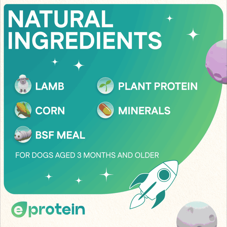 Dog Treats With Lamb Strip, 100g, E-Protein, Hypoallergenic