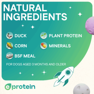 Dog Treats With Duck Donut, 250g, E-Protein, Hypoallergenic