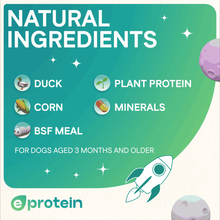 Dog Treats With Duck Donut, 100g, E-Protein, Hypoallergenic