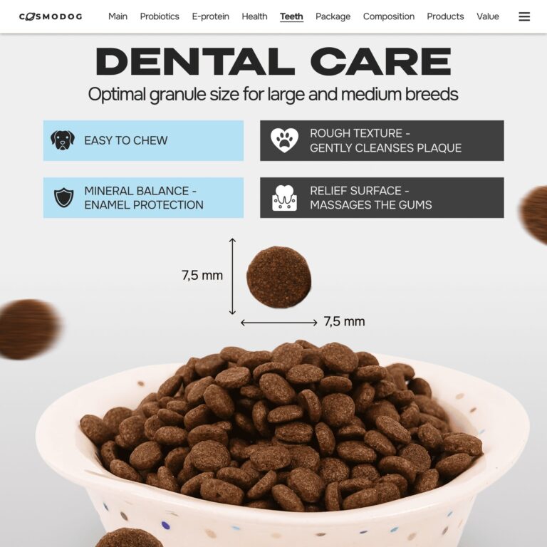 ZOOPSYCHOLOGY: HOW WE LEARNED TO STOP TRAINING AND START LISTENING