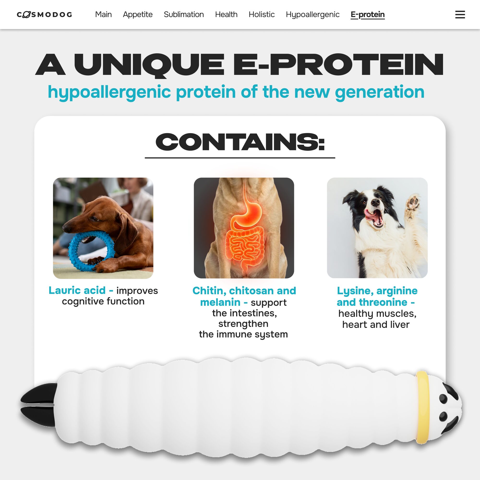 Cosmodog Freeze Dried Treats Salmon Cube 60 g