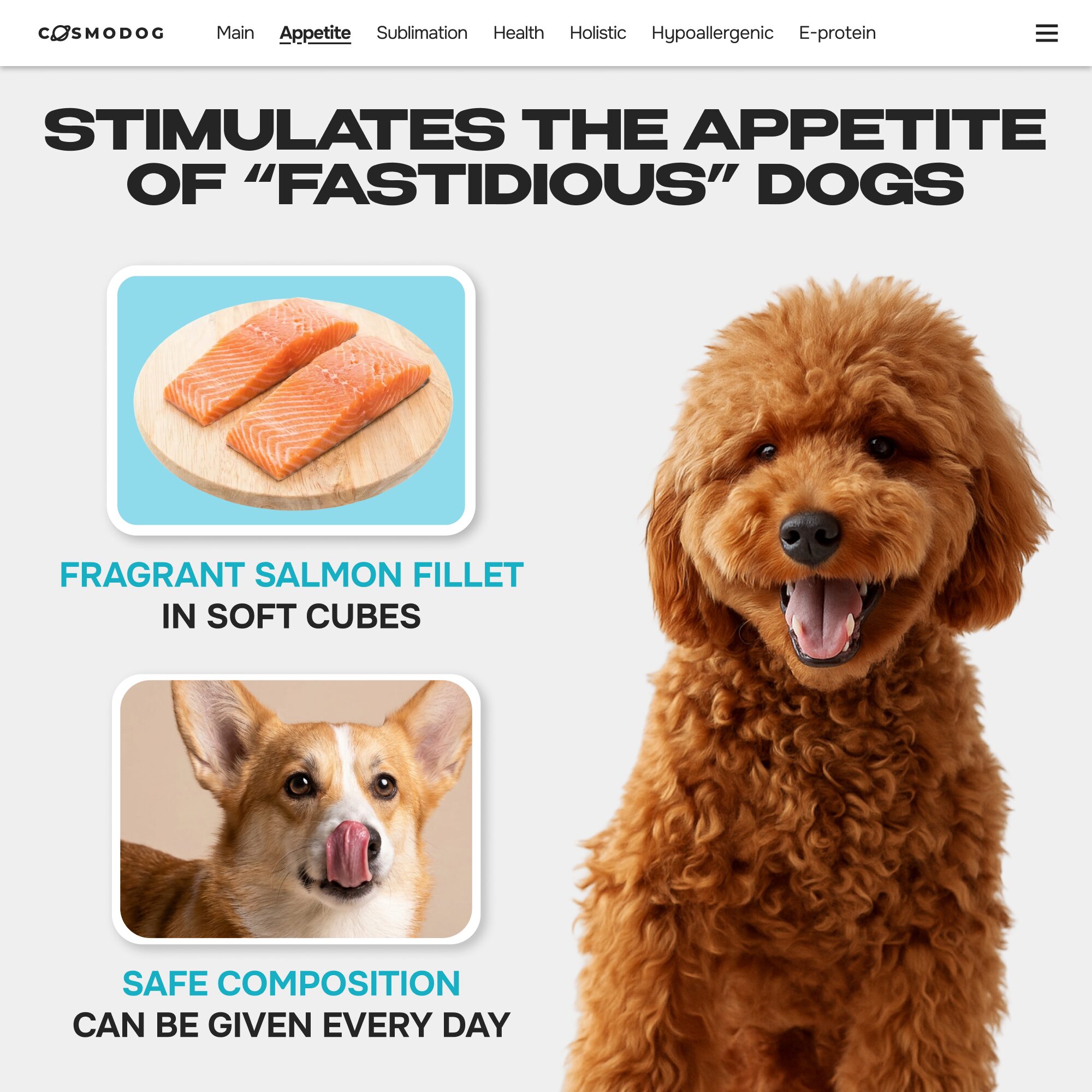 Cosmodog Freeze Dried Treats Salmon Cube 60 g