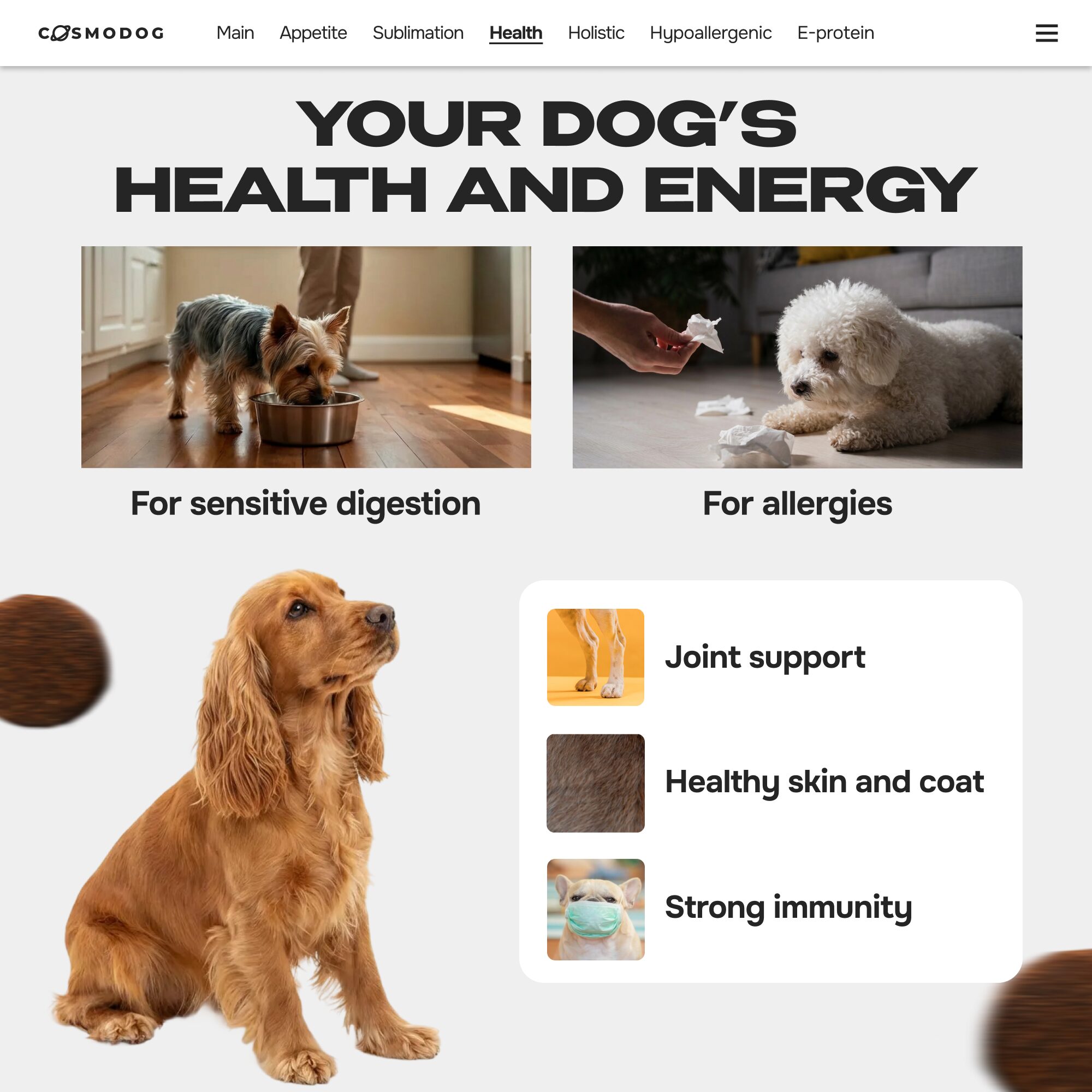 Cosmodog Freeze Dried Treats Salmon Cube 60 g