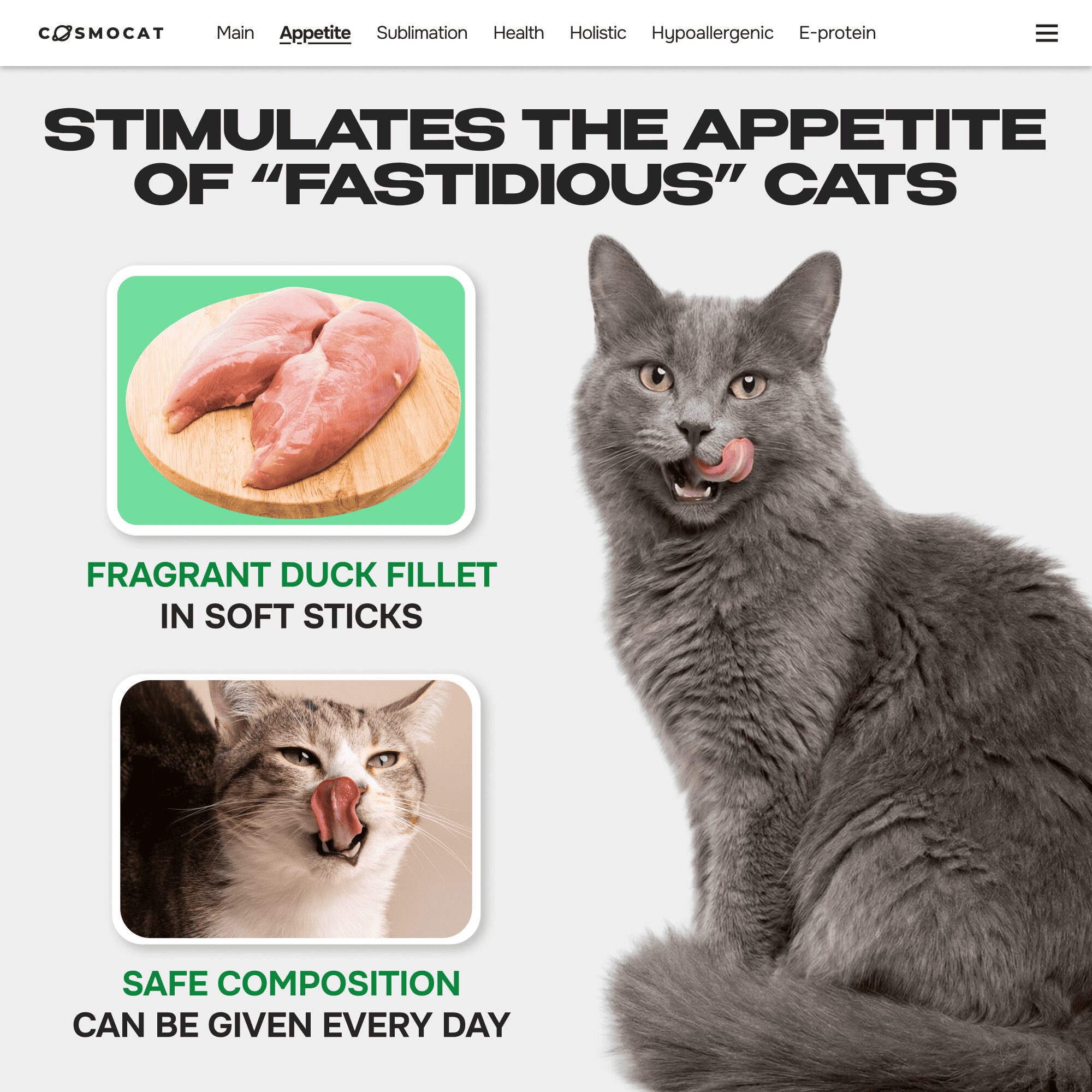 Cosmocat Freeze Dried Treats Catnip Stick 35 g