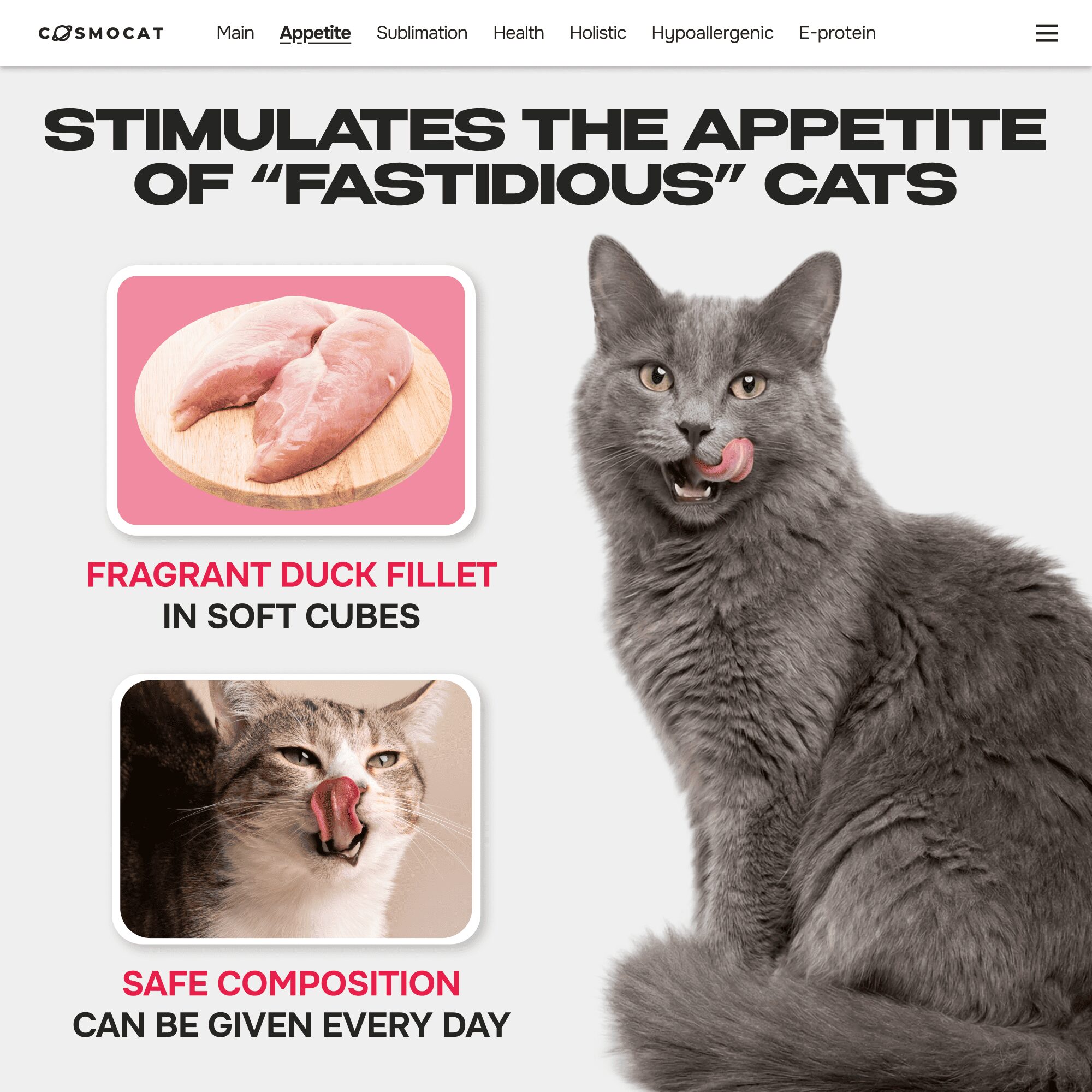 Cosmocat Freeze Dried Treats Duck with Cranberries 60 g