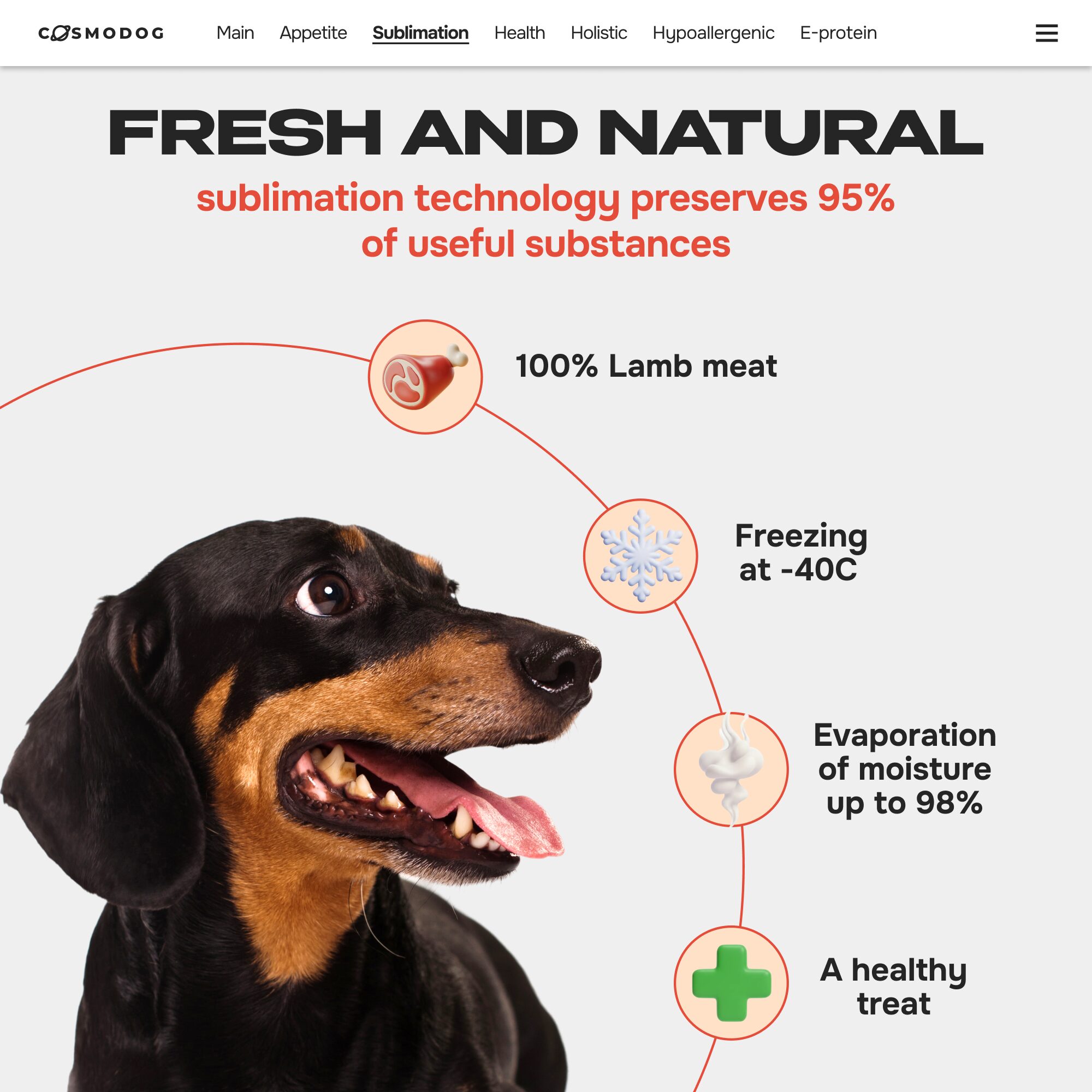 Cosmodog Freeze Dried Treats Lamb Cube 100 g