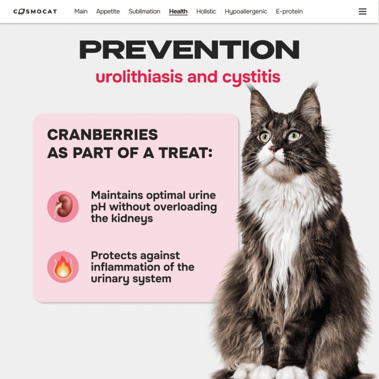 Cosmocat Freeze Dried Treats Duck with Cranberries 60 g