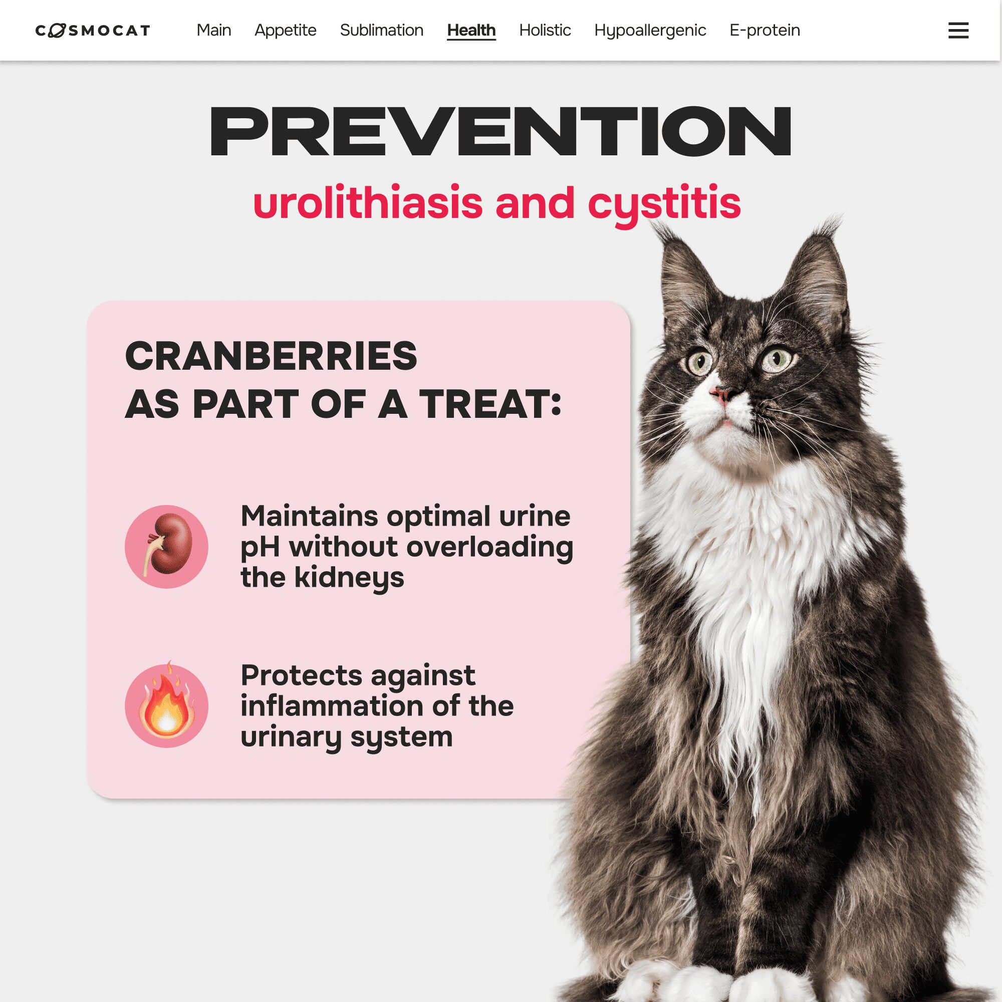 Cosmocat Freeze Dried Treats Duck with Cranberries 60 g