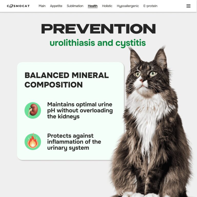 Cosmocat Freeze Dried Treats Catnip Stick 35 g