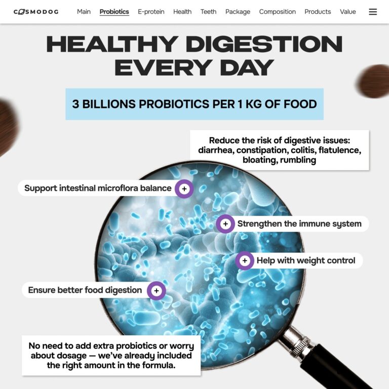 ZOOPSYCHOLOGY: HOW WE LEARNED TO STOP TRAINING AND START LISTENING