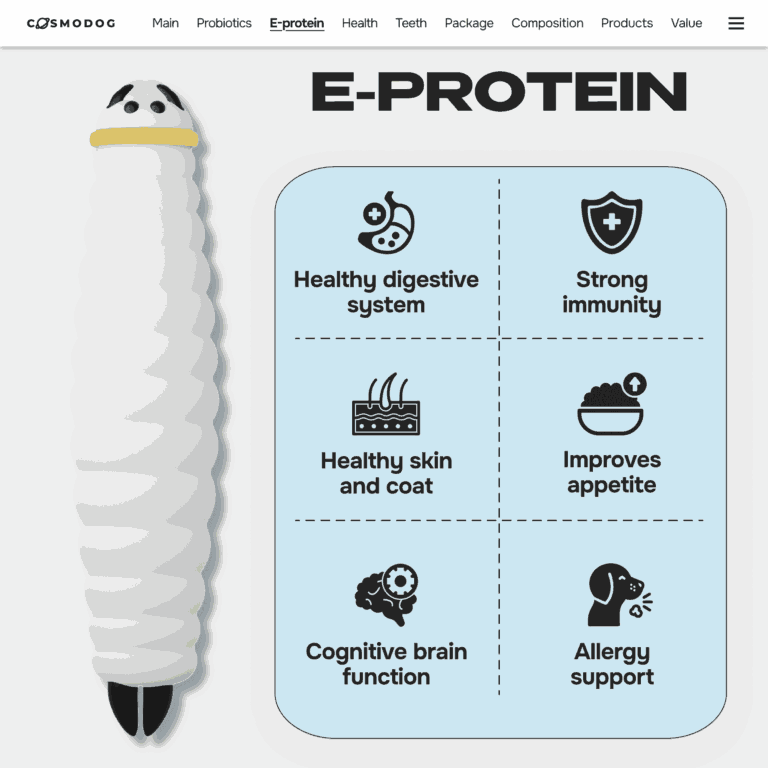ZOOPSYCHOLOGY: HOW WE LEARNED TO STOP TRAINING AND START LISTENING