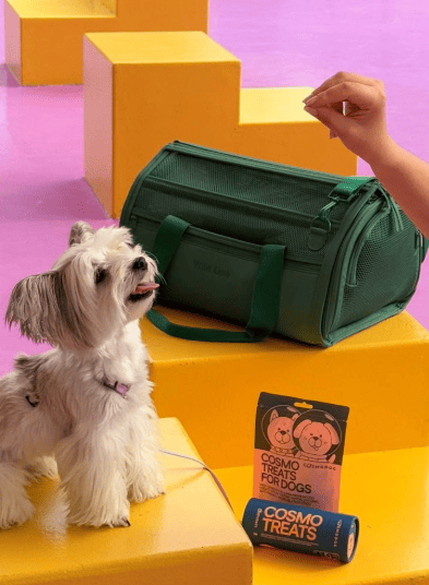 Cosmopet Treats Now in the UAE: Premium Nutrition for Your Pets!