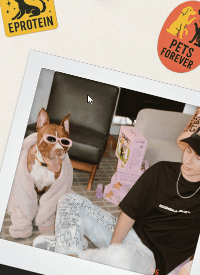 Pet food and protein of the future