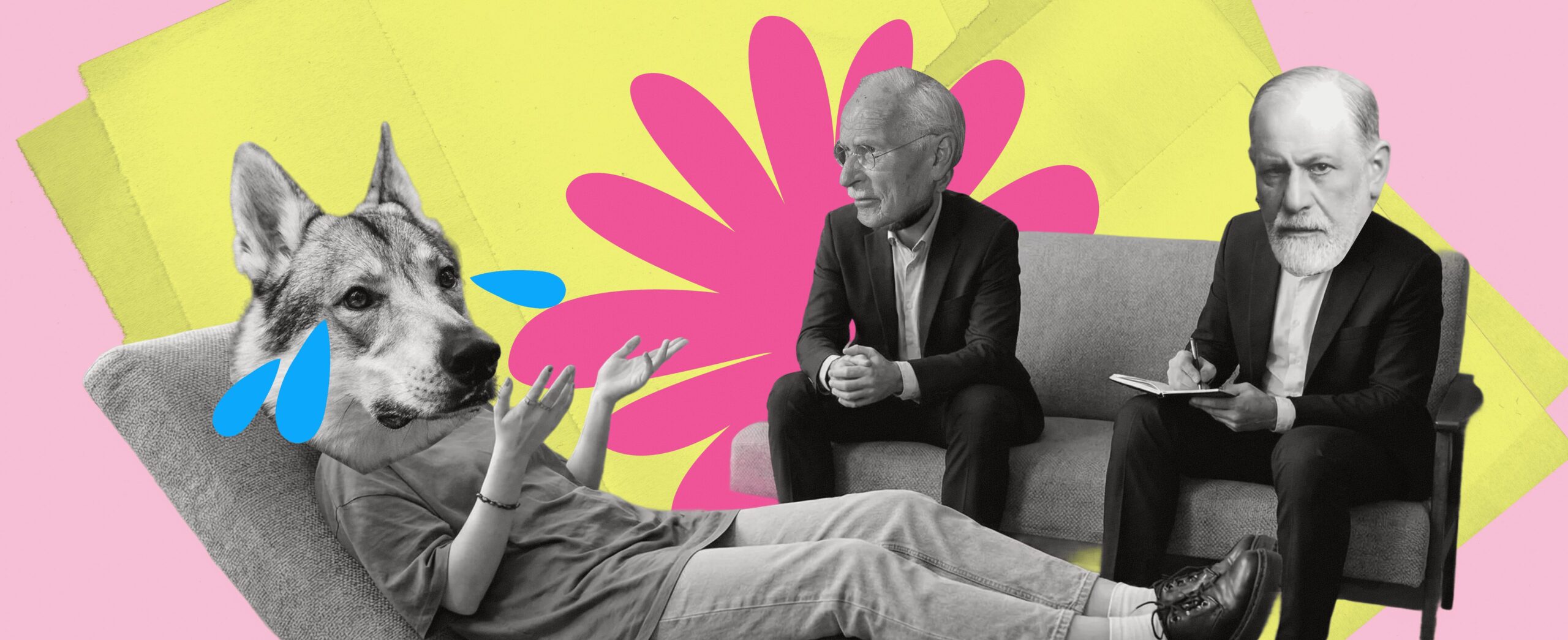 ZOOPSYCHOLOGY: HOW WE LEARNED TO STOP TRAINING AND START LISTENING 22