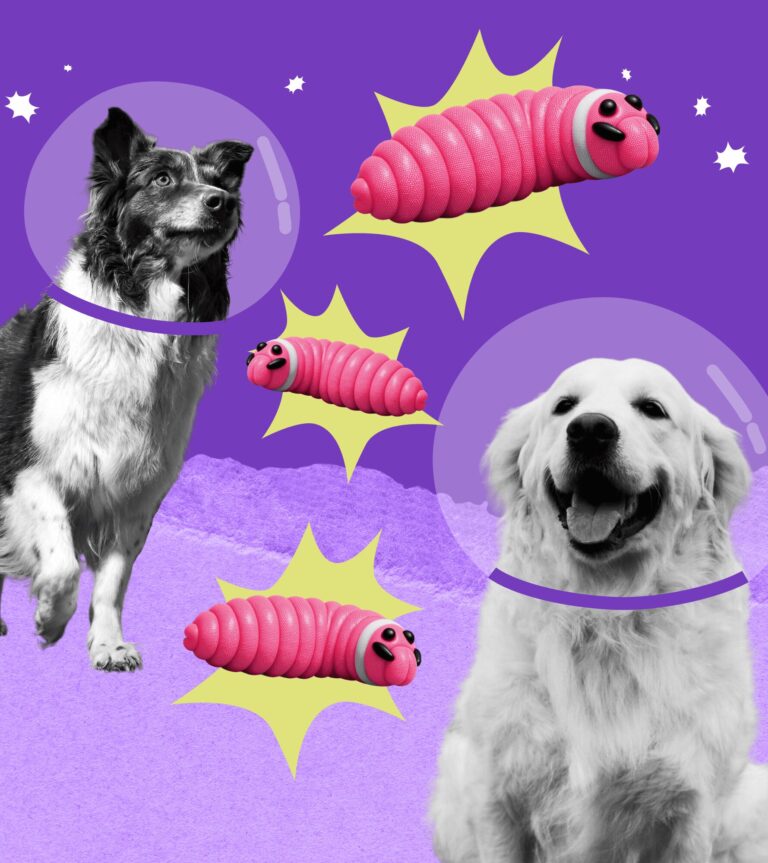 THE FUTURE IS ALREADY HERE– AND IT SMELLS LIKE CRICKETS