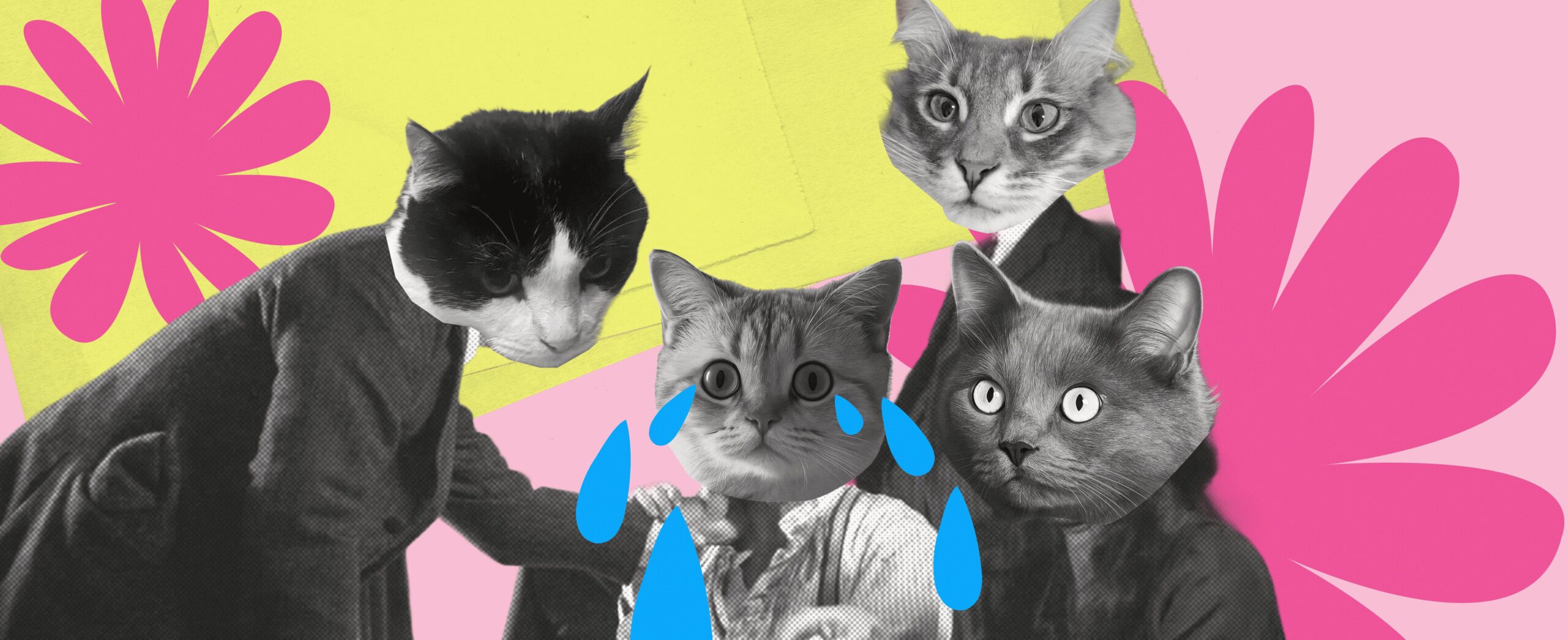 ZOOPSYCHOLOGY: HOW WE LEARNED TO STOP TRAINING AND START LISTENING 891