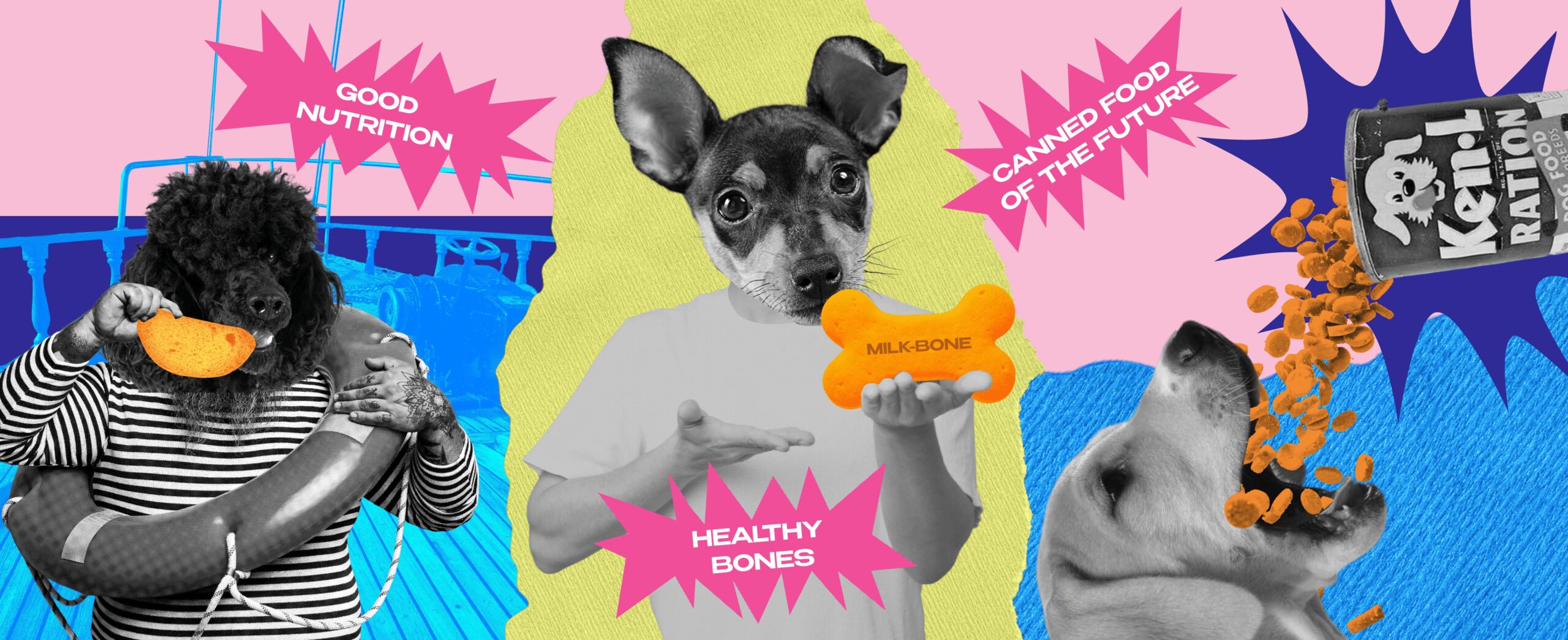 DOGS, CATS & BILLIONS: THE EVOLUTION OF PET FOOD – FROM BONES TO INSECTS 609