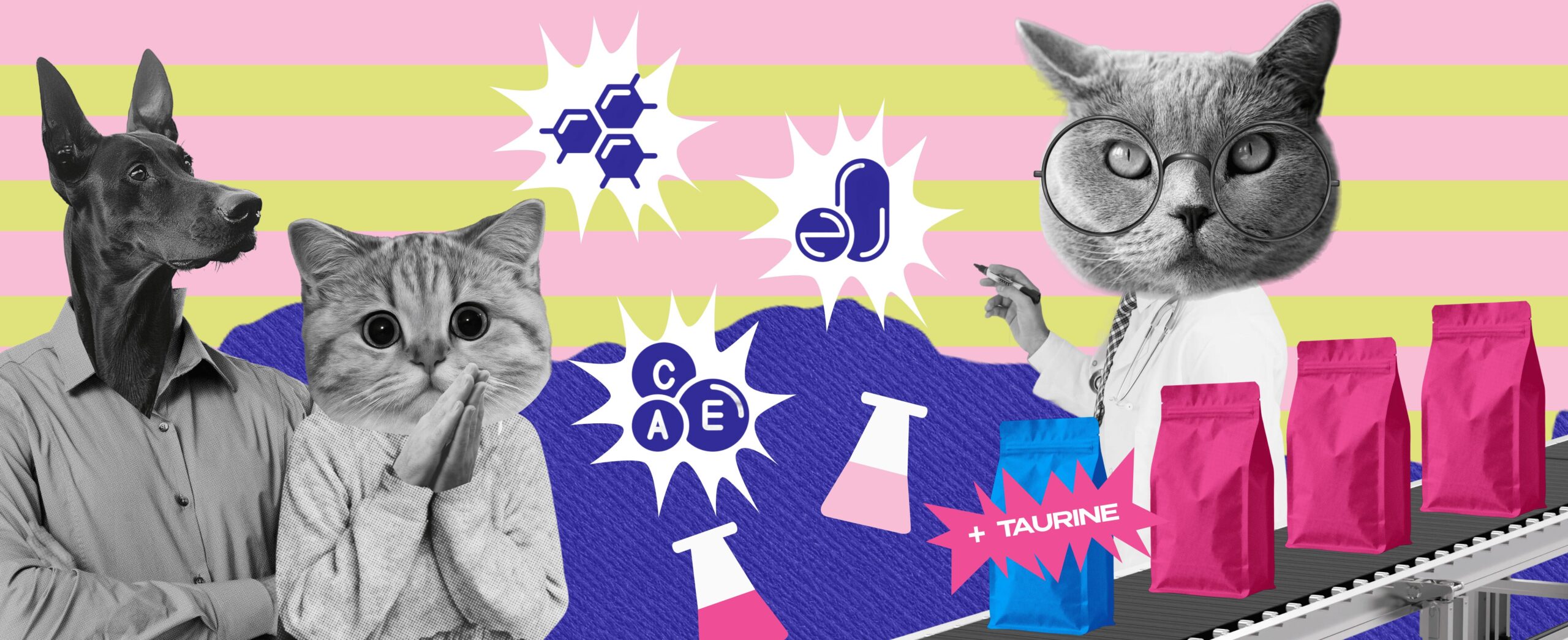 DOGS, CATS & BILLIONS: THE EVOLUTION OF PET FOOD – FROM BONES TO INSECTS 495