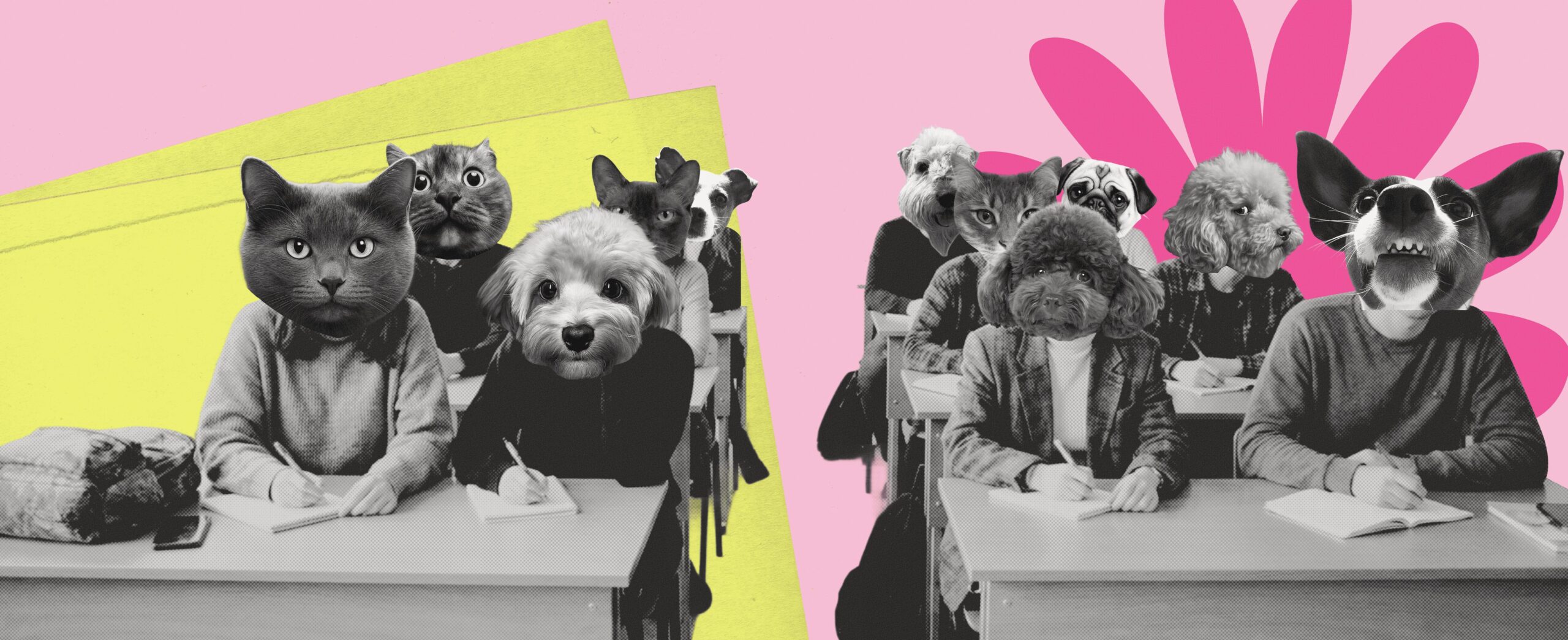 ZOOPSYCHOLOGY: HOW WE LEARNED TO STOP TRAINING AND START LISTENING 585