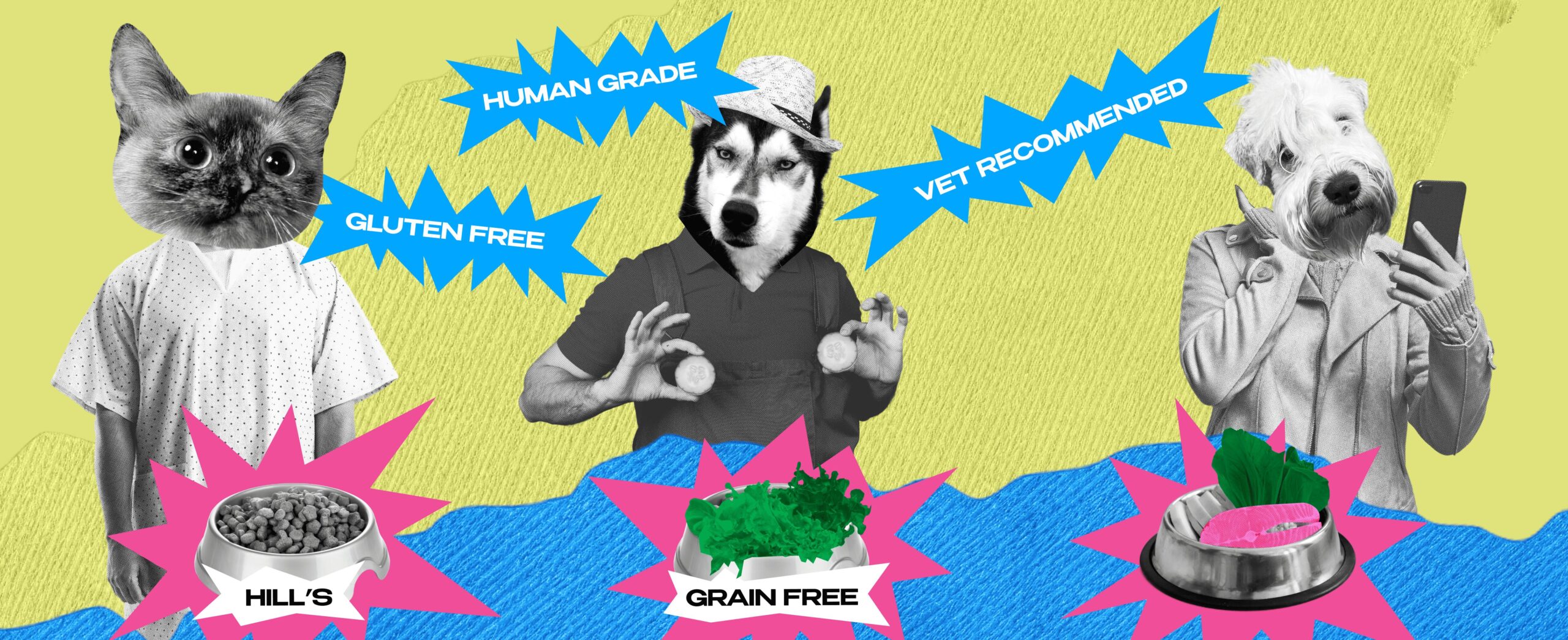 DOGS, CATS & BILLIONS: THE EVOLUTION OF PET FOOD – FROM BONES TO INSECTS 518