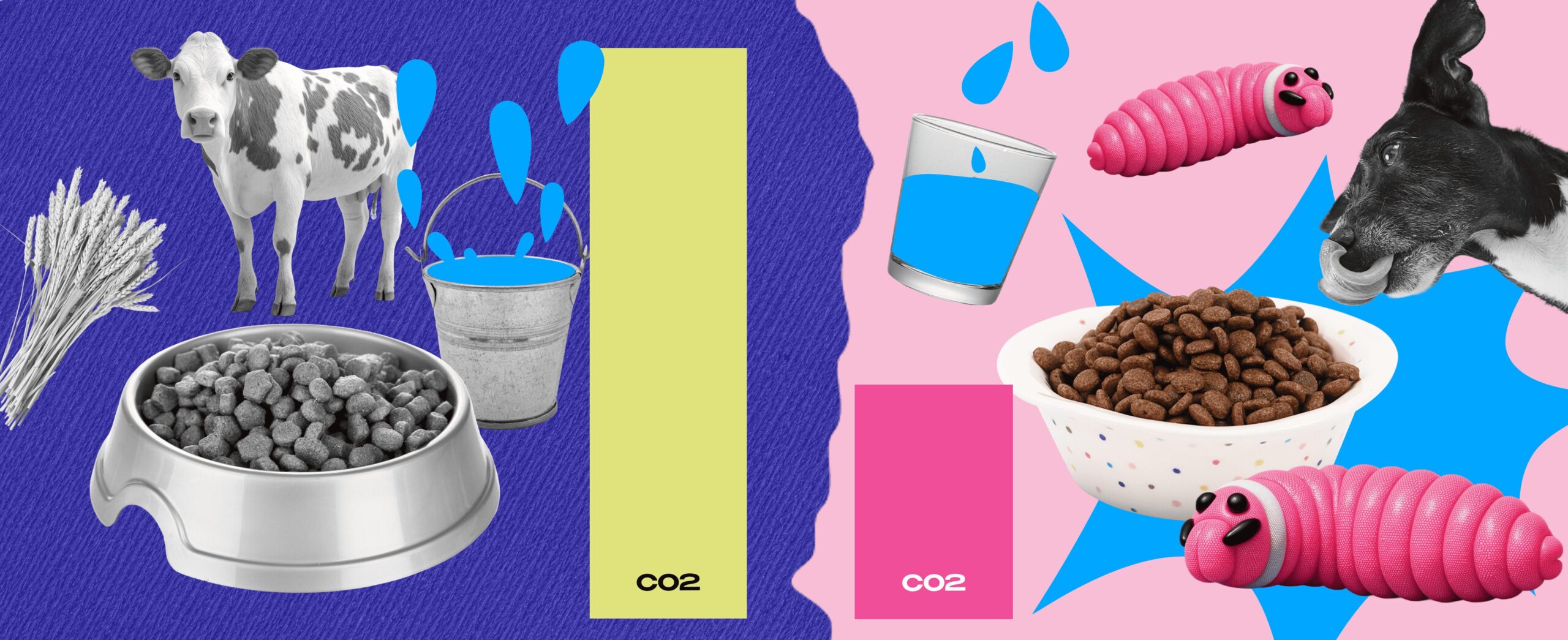 DOGS, CATS & BILLIONS: THE EVOLUTION OF PET FOOD – FROM BONES TO INSECTS 903