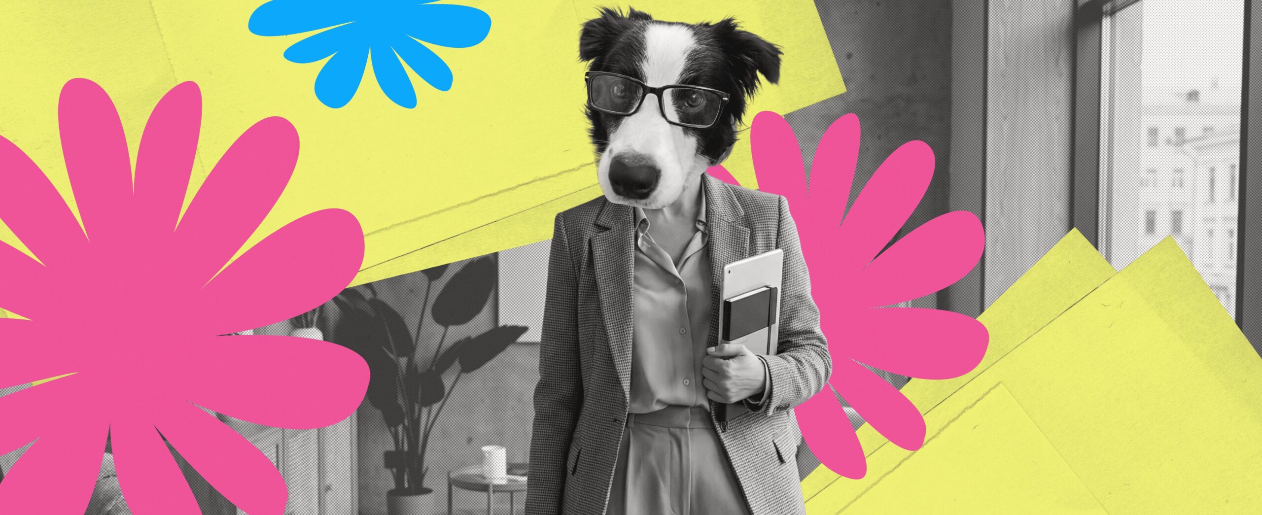 ZOOPSYCHOLOGY: HOW WE LEARNED TO STOP TRAINING AND START LISTENING