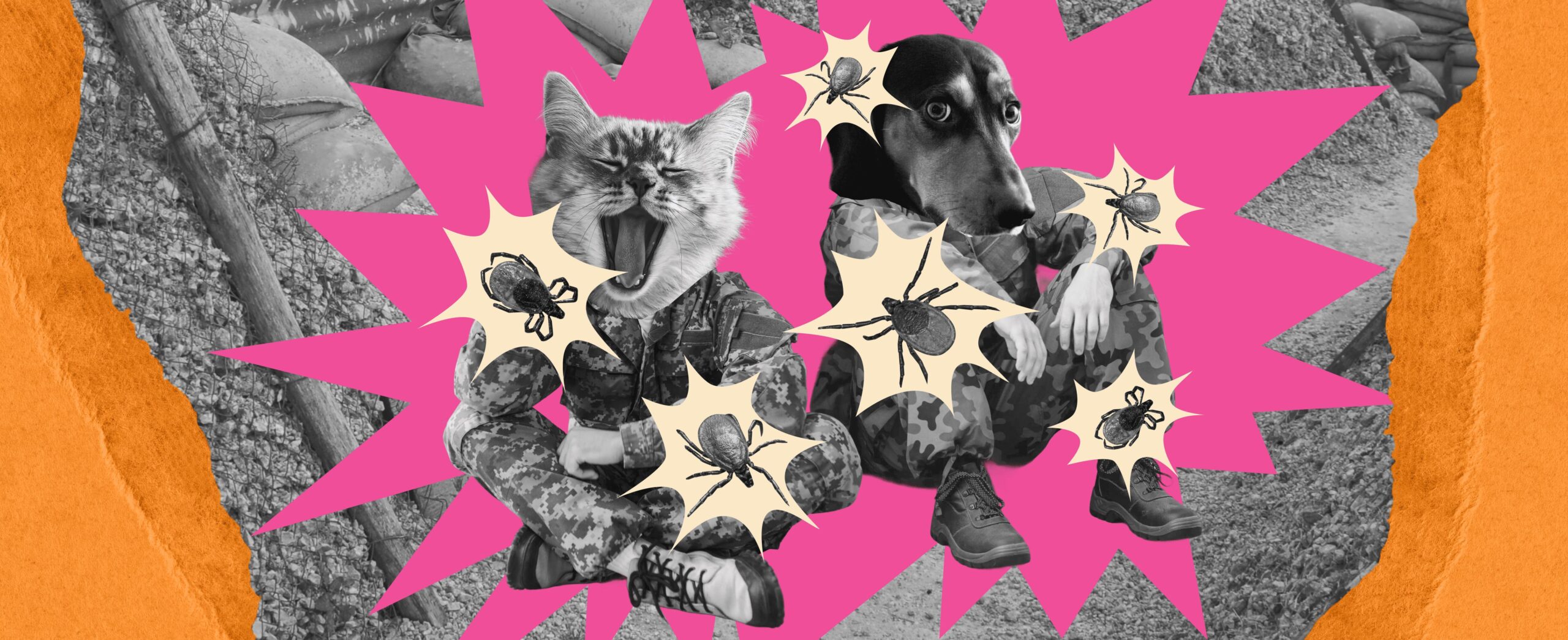 FEAR, HATRED, AND LOVE FOR INSECTS 778