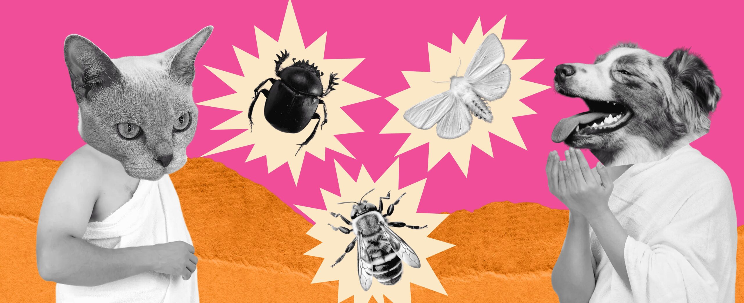 FEAR, HATRED, AND LOVE FOR INSECTS 135