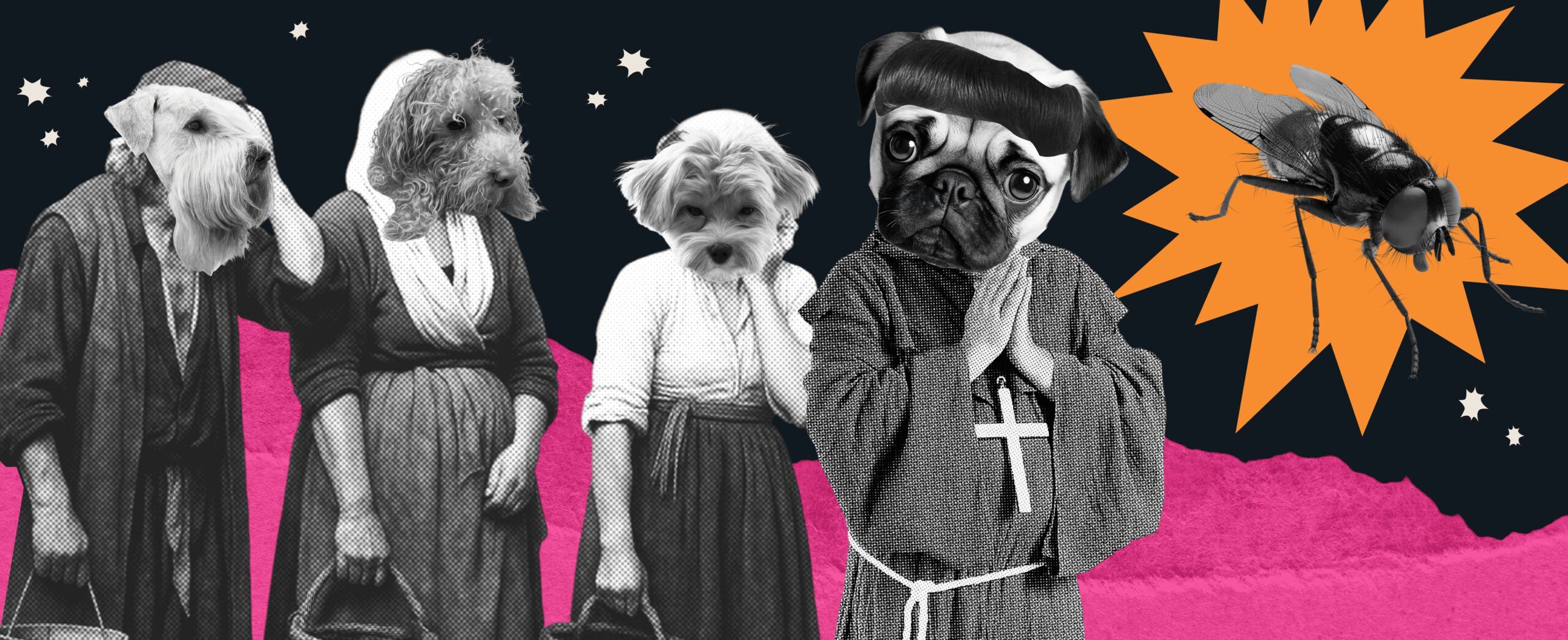 FEAR, HATRED, AND LOVE FOR INSECTS 445