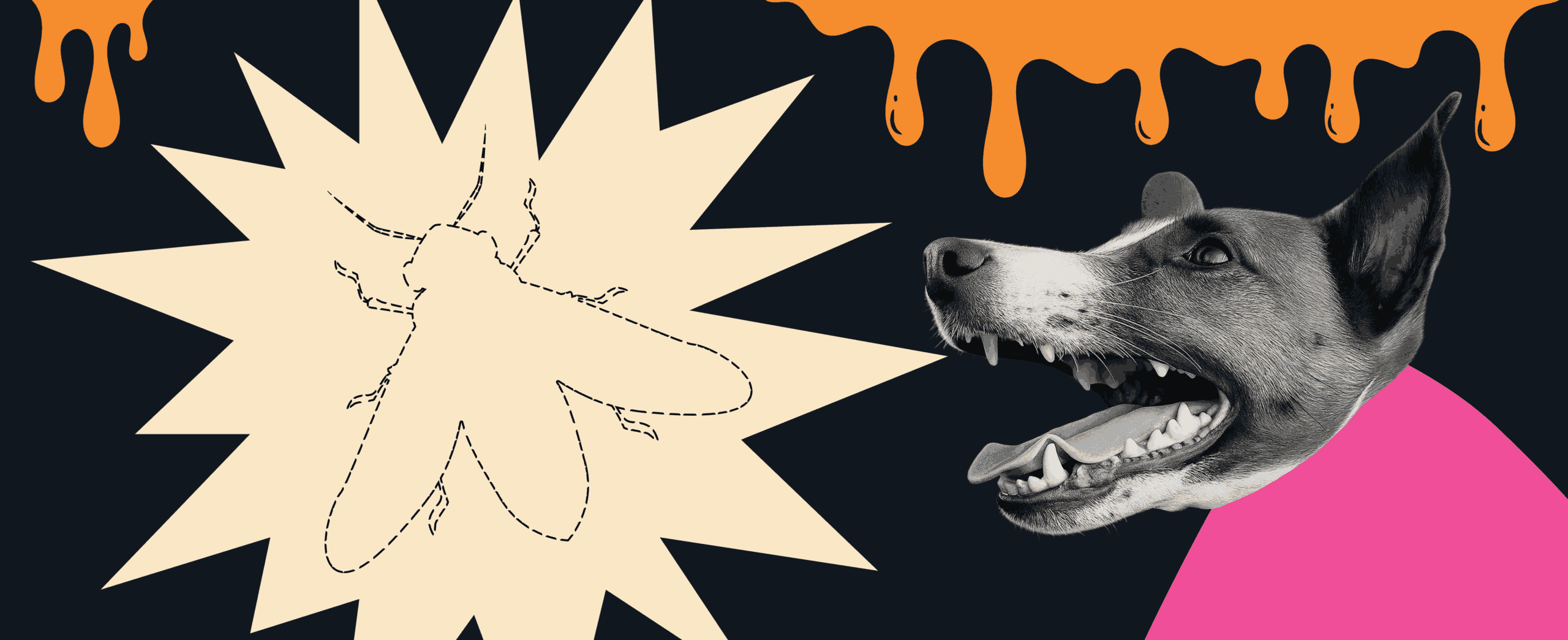 FEAR, HATRED, AND LOVE FOR INSECTS 144